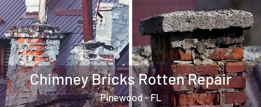  Chimney Bricks Rotten Repair Pinewood - FL